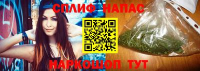 гашик Донецк