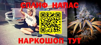 гидра Заволжье